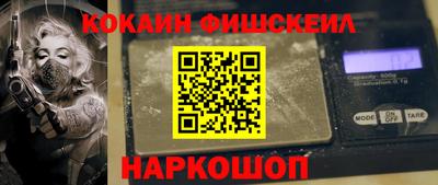 крисы Кулебаки
