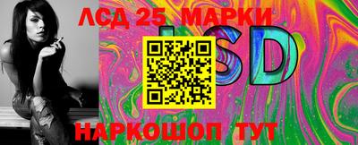 крисы Кулебаки
