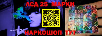 крисы Кулебаки