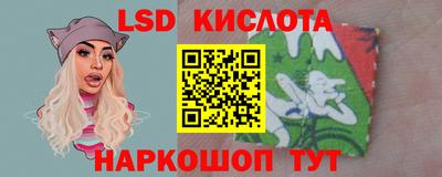 крисы Кулебаки