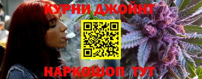 крисы Кулебаки