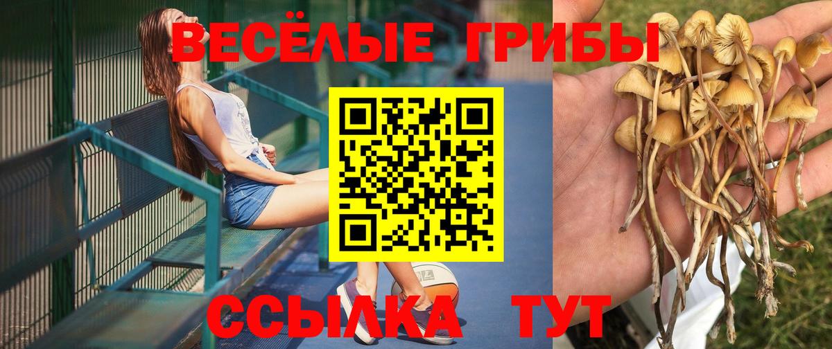 Галлюциногенные грибы Psilocybe  Вход с VPN  Галлюциногенные грибы GOLDEN TEACHER  Шахты 