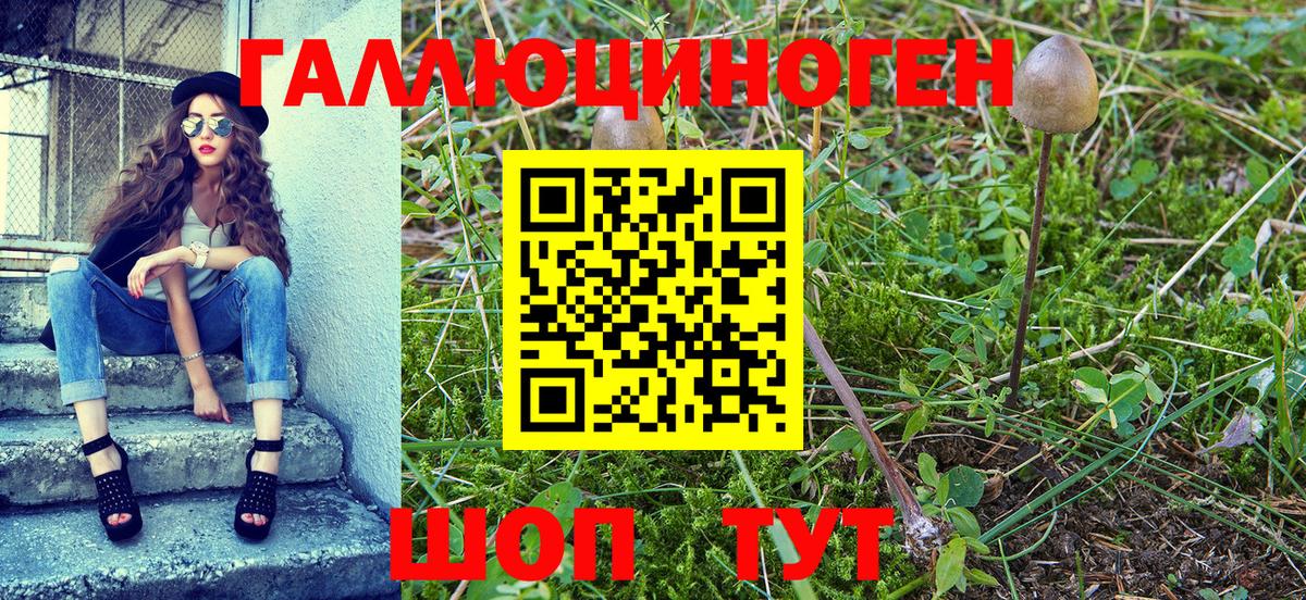 Псилоцибиновые грибы Magic Shrooms Шахты